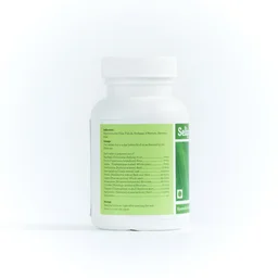 BIPHA DRUG LABORATOR Selip Tablet - Bipha - 90Tablet