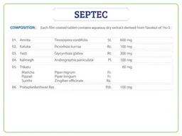 AYURCHEM PRODUCTS Septec Tablet - Ayurchem - 20Tablet