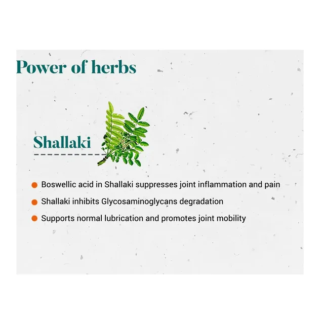 HIMALAYA DRUGS Shallaki Tablet - Himalaya - 60Tablet