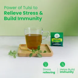 ORGANIC INDIA Tulsi Green Tea Classic - Organic - 25Bags