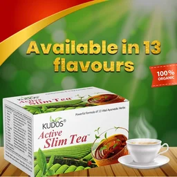 KUDOS AYURVEDA Active Slim Tea - Kudos (2G X 30 Tea Bags) - 2Gm