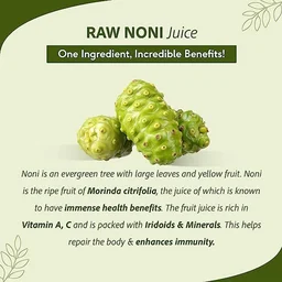 KUDOS AYURVEDA Noni Juice - Kudos - 500Ml