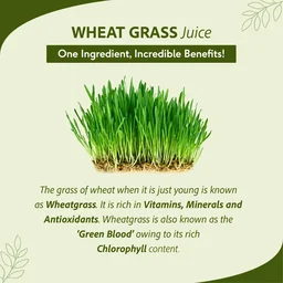 SRI SRI AYURVEDA Wheat Grass Juice - Sri Sri - 1L