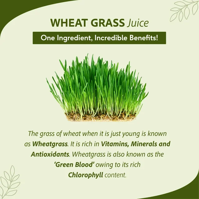 SRI SRI AYURVEDA Wheat Grass Juice - Sri Sri - 1L