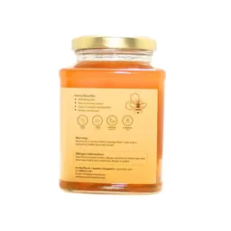 ORGANIC INDIA Honey Wild Forest - Organic - 250g