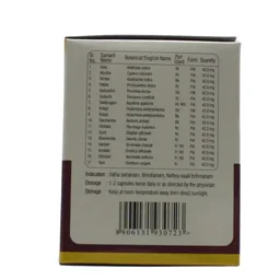 SREEDHAREEYAM Optha Capsules - Sreedhareeyam - 100 Capsules