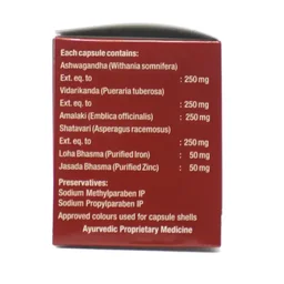 SAGAR PHARMACEUTICAL Sangfer - Sagar - 120Capsule