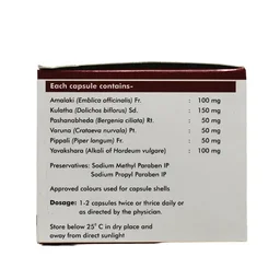 SAGAR PHARMACEUTICAL Rensol - Sagar - 120Capsule