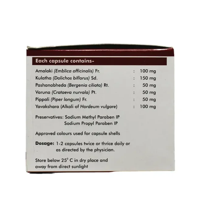 SAGAR PHARMACEUTICAL Rensol - Sagar - 120Capsule