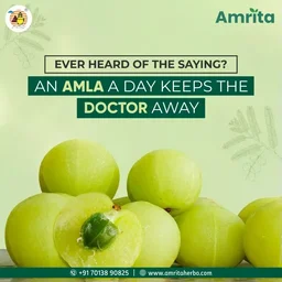 AMRITA DRUGS Nisa Amalaki Tablet - Amrita - 90 Tablet