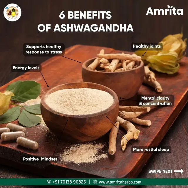 AMRITA DRUGS Ashwagandha Tablet - Amrita - 60 Tablet