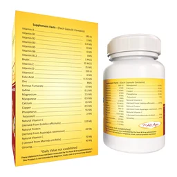 RAJASTHAN HERBALS Vita Day Capsule - Rajasthan - 60 Capsules