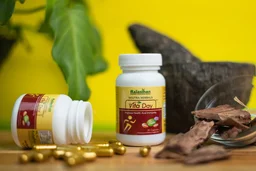 RAJASTHAN HERBALS Vita Day Capsule - Rajasthan - 60 Capsules