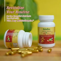 RAJASTHAN HERBALS Vita Day Capsule - Rajasthan - 60 Capsules