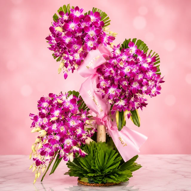 My Gifts Tree Majestrative Orchid Jumbo - Premium Orchid Arrangement