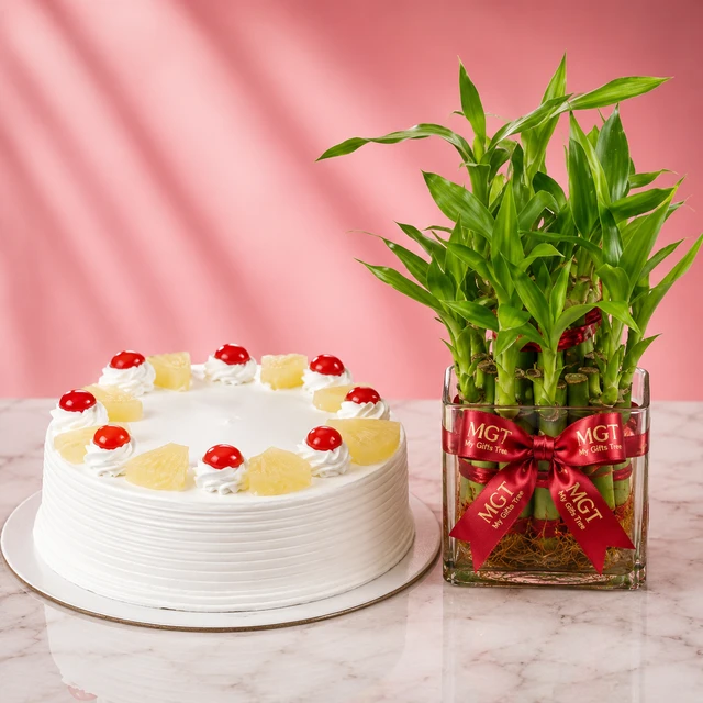 My Gifts Tree Pineapple Cake & Lucky Bamboo - 500 GM