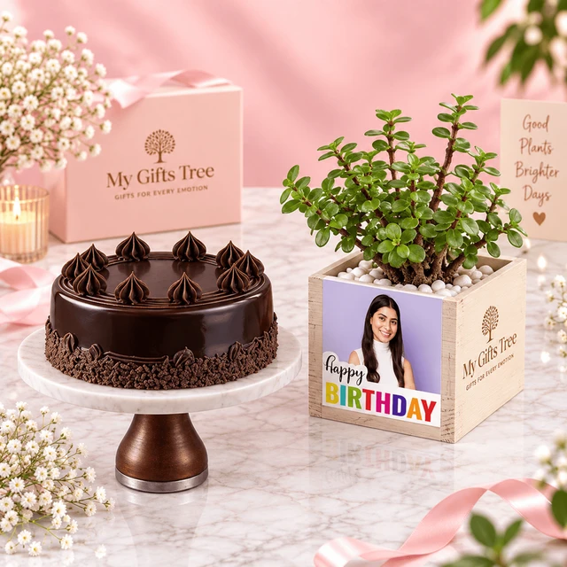 My Gifts Tree Bento Chocolate Cake and Green Plant Combo
