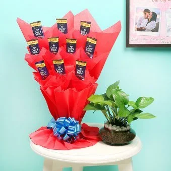 My Gifts Tree Lovely Money Plant Combo