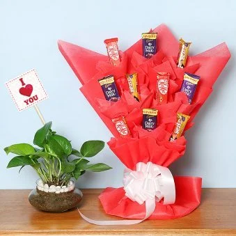 My Gifts Tree Marry Money Plant