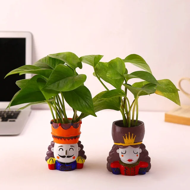 My Gifts Tree Money Plant King and Queen Part Set Hand Deliv