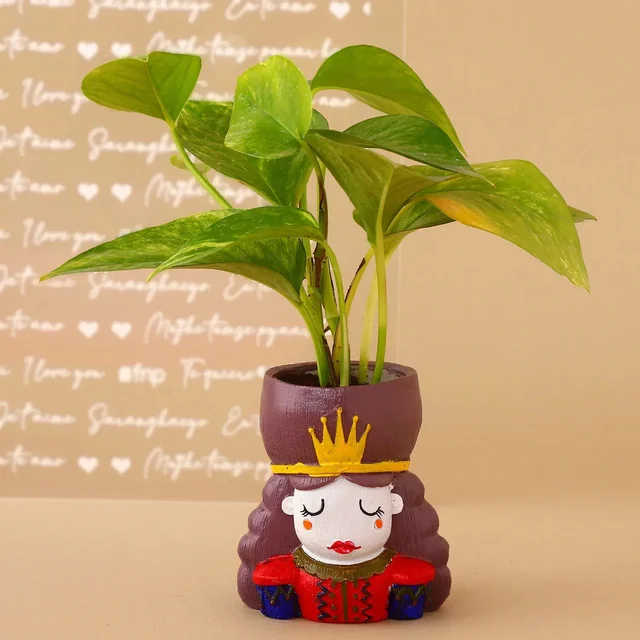 My Gifts Tree Money Plant King and Queen Part Set Hand Deliv