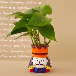 My Gifts Tree Money Plant King and Queen Part Set Hand Deliv