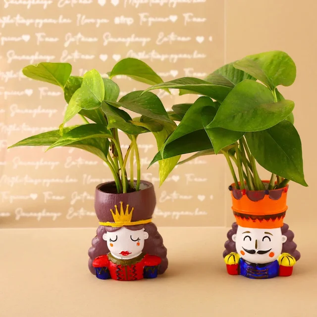 My Gifts Tree Money Plant King and Queen Part Set Hand Deliv