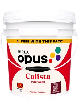 Birla Opus Ever Wash - 1L