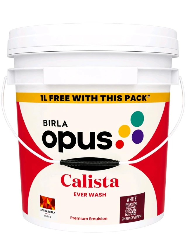 Birla Opus Ever Wash - 1L