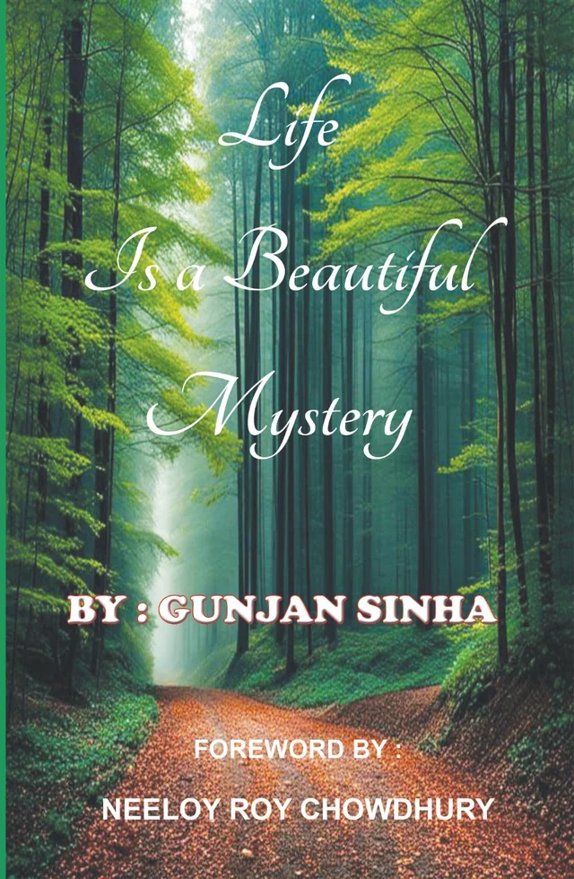Life is a Beautiful Mystery (Paperback)