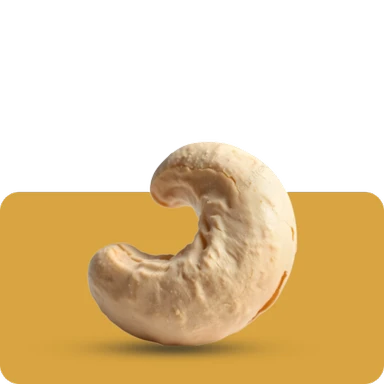 Cashew