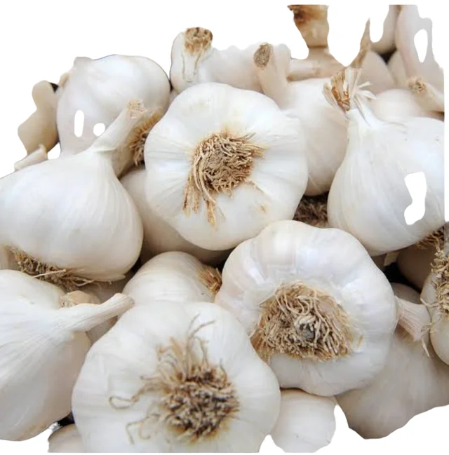 Garlic Loose Big Size - 250g