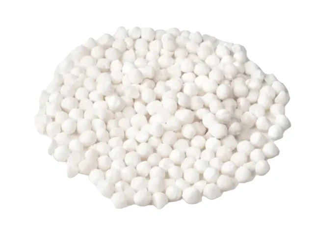 Sabu Dana Big Size - 500g