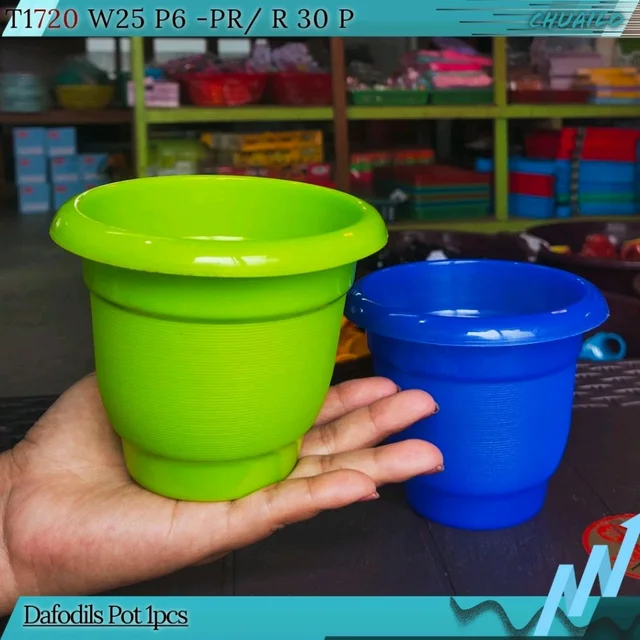 Dafodils Pot
