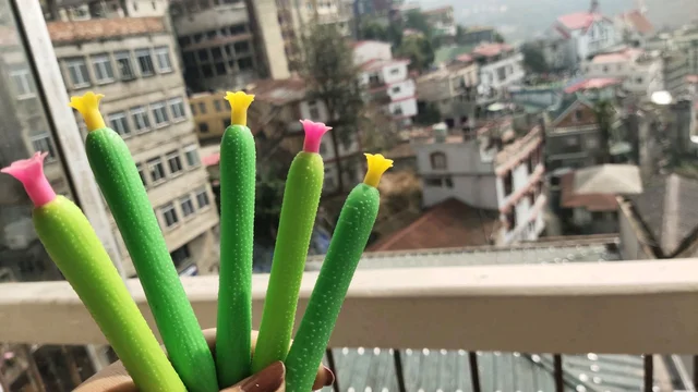 Cucumber Click Pencil