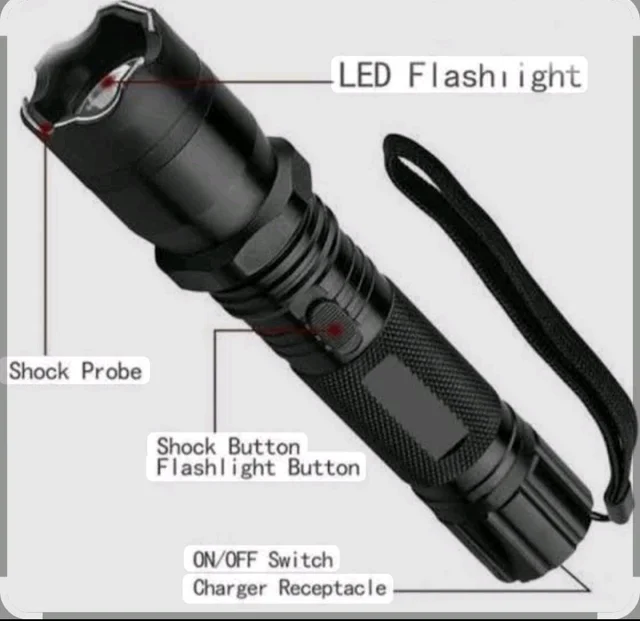 Torchlight Electric Shock Teaser 
