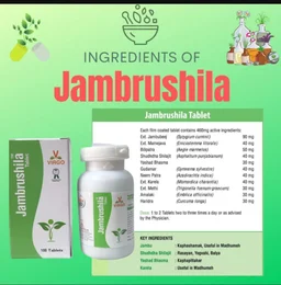 JAMBRUSHILA जांब्रूशिला - 30 Tablet X 1Pack