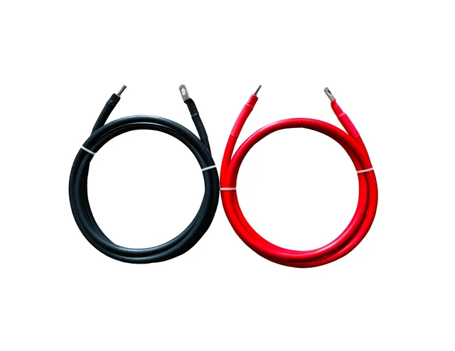 Standard (Havells) 25 Sq. Mm Battery Connecting Lead With Pin And Ring Lugs - 3 Meter (1.5 Red + 1.5 Black)