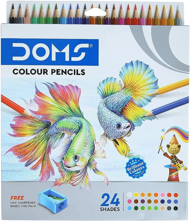 Doms Pencil Colour 24pcs Full Size