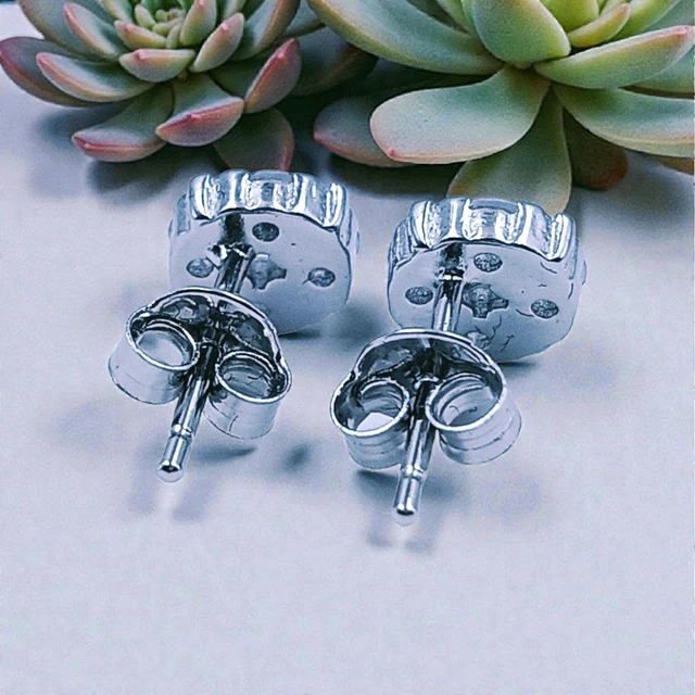Silver Fancy Studs