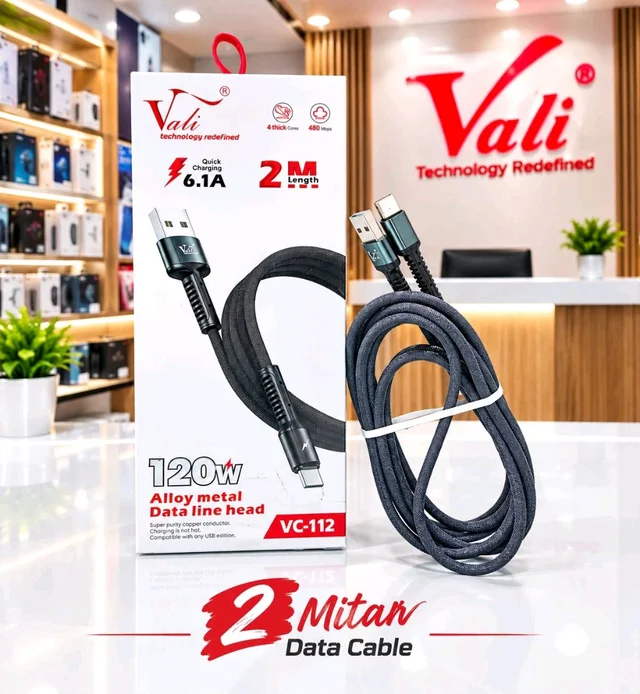 Vali VC-112 120W Type-C Cable 2 MTR Lenght 6.1Amp Fast Charging Cable
