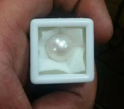 Astro Planet Moti - White, 6 Ct