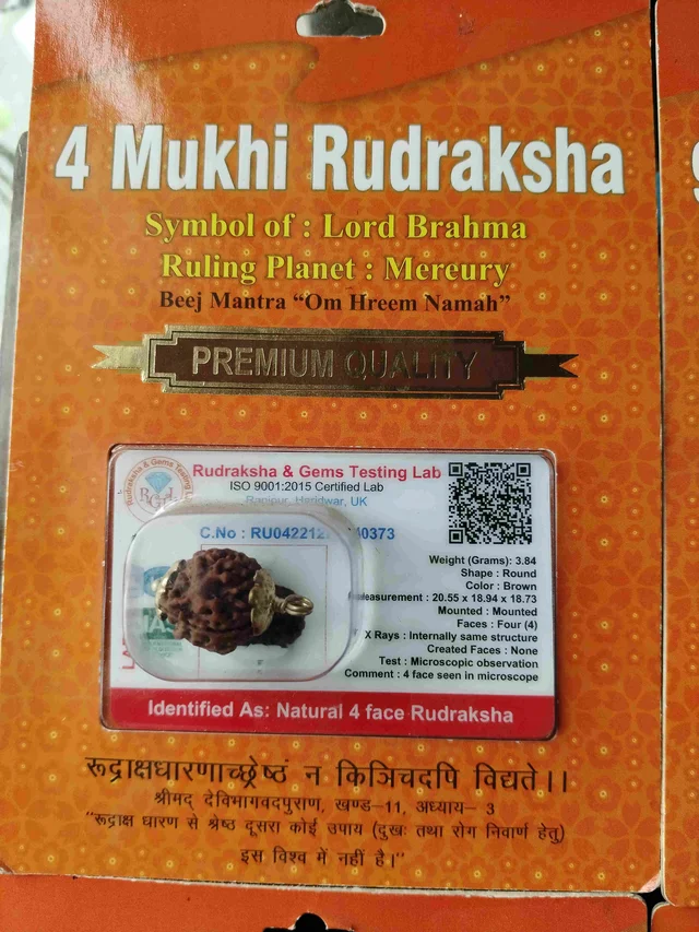 Astro Planet 4 Mukhi Rudraksha - Cinnamon