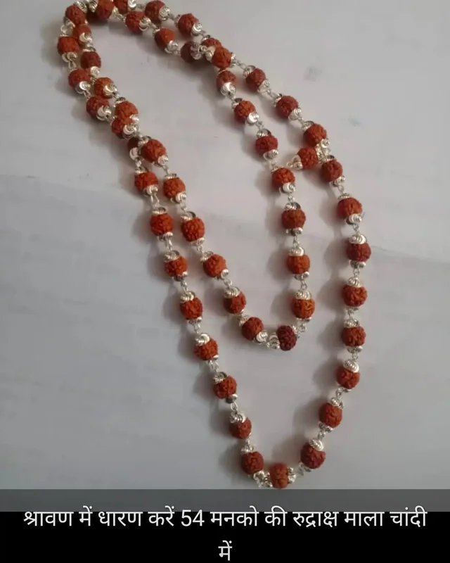 Astro Planet Rudraksha Mala In Silver - Brown, 54 Beeds