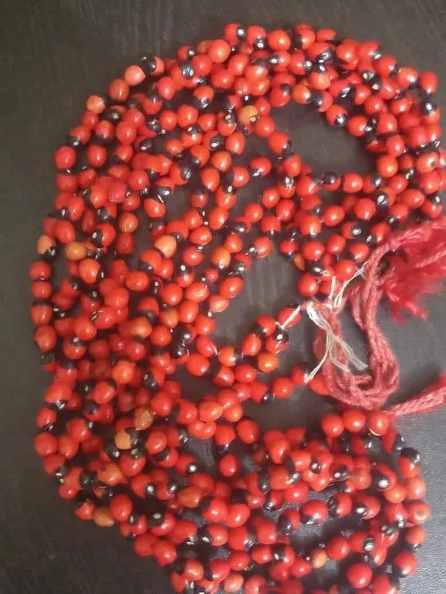 Astro Planet Rakt Gunja Ki Mala - Red, Size free