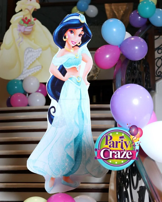 Princess Cutouts Rental