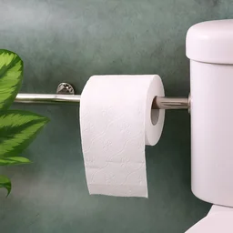 2-Ply Toilet Roll – Ultra-Soft with 250 Sheets for Comfort