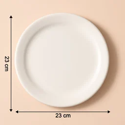 30 cm Round Dinner Plate – Durable & Heat-Resistant Serving Plate