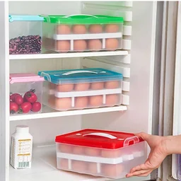 32-Grid Egg Tray with Lid & Handle – 2-Layer Egg Storage | Organivo