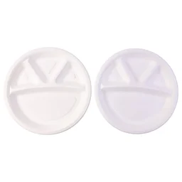 4 Compartment Disposable Food Serving Plate – Set of 10
